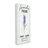 Stupell Industries Lavanda Fields Purple Farm Florals Cvjetnica, 30, dizajnirala Kyra Brown