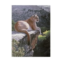 Zaštitni znak likovne umjetnosti Zemlja Puma, ulje na platnu Rona Parkera