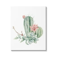 Jednostavan raspored cvjetova Kaktusa i sočnih biljaka u Modernoj galeriji slika-zidni otisak na platnu, 20, dizajn