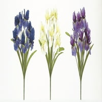 Teters Cvjetna proljetna kolekcija 19 Blue, Cream & Purple Soft Iris Bush, komad