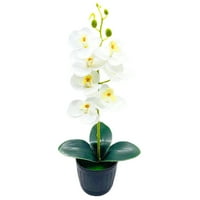 Postavite umjetne orhideje cvjetove Pot prirodni izgled imitacija polica za izlog u loncu u obliku kabine biljke