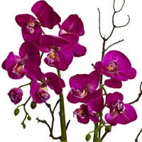 Gotovo prirodno 21 Orhideja i sočna umjetna aranžman cvijeća, tamno ružičasta