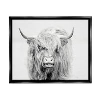 + Izražajna jednobojna fotografija goveda, portret životinje, jet crno platno s plutajućim okvirom, zidni tisak,