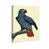 Wynwood Studio Animals Wall Art Canvas ispisuje ptice papiga - plava, žuta