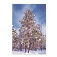 Zaštitni znak likovna umjetnost 'Finska šuma' platno umjetnost Philippea Sainte-Laudy