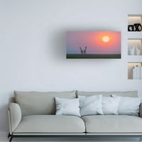 Yun Wang 'Sunset Love' Canvas Art